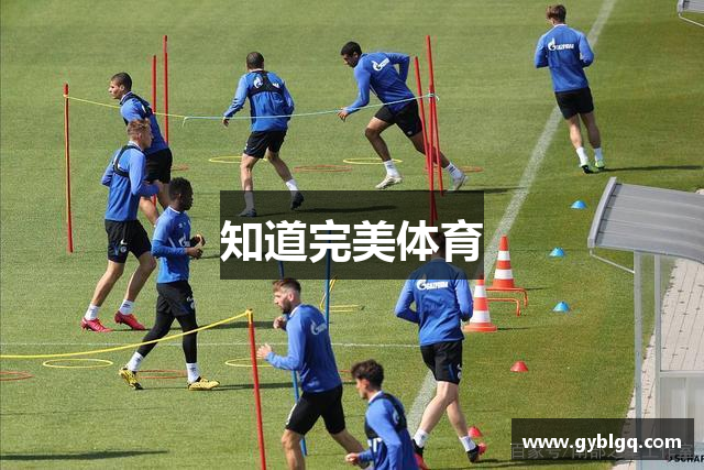 知道完美体育